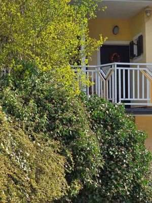 3-Zimmer-Gewerbeimmobilie mieten in Hartberg-Fürstenfeld – 74 m², € 1.080