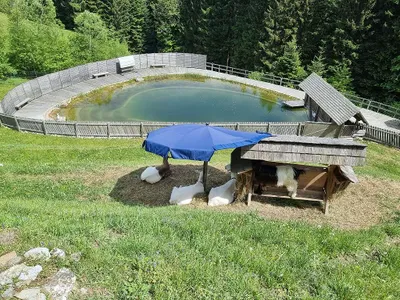 3-Zimmer-Gewerbeimmobilie mieten in Hartberg-Fürstenfeld – 74 m², € 1.080 – Bild 17 von 26