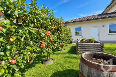 Haus kaufen in Steyr-Land – 162 m², € 699.000 – Bild 9 von 22