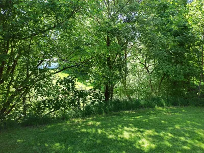 2-Zimmer-Wohnung mieten in Sankt Pölten Land – 33 m², € 329 – Bild 8 von 8