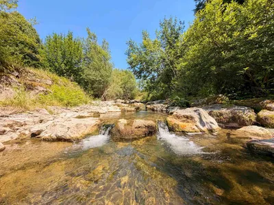 Immobilie kaufen in Steyr-Land – 34 417 m², € 800.000 – Bild 13 von 14