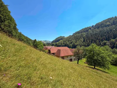 Immobilie kaufen in Steyr-Land – 34 417 m², € 800.000 – Bild 12 von 14