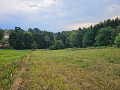 Grundstück kaufen in Güssing – 4 000 m², € 85.000 – Bild 5 von 7