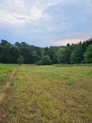 Grundstück kaufen in Güssing – 4 000 m², € 85.000 – Bild 2 von 7