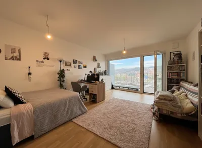 1-Zimmer-Wohnung mieten in Graz – 27,68 m², € 435 – Bild 1 von 11