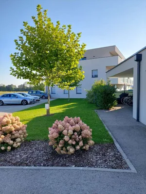 2-Zimmer-Wohnung mieten in Wels-Land – 50 m², € 814