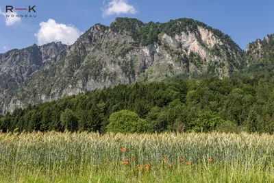 2-Zimmer-Wohnung kaufen in Salzburg-Umgebung – 53,5 m², € 417.000 – Bild 4 von 7