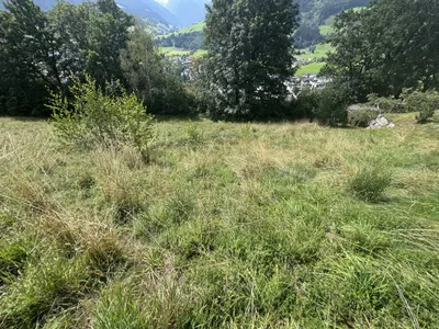 Grundstück kaufen in Zell am See – 1 002 m², € 680.000 – Bild 6 von 13