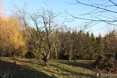 2-Zimmer-Immobilie kaufen in Jennersdorf – 100 m², € 210.000 – Bild 14 von 27