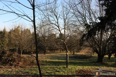 2-Zimmer-Immobilie kaufen in Jennersdorf – 100 m², € 210.000 – Bild 25 von 27