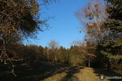 2-Zimmer-Immobilie kaufen in Jennersdorf – 100 m², € 210.000 – Bild 23 von 27