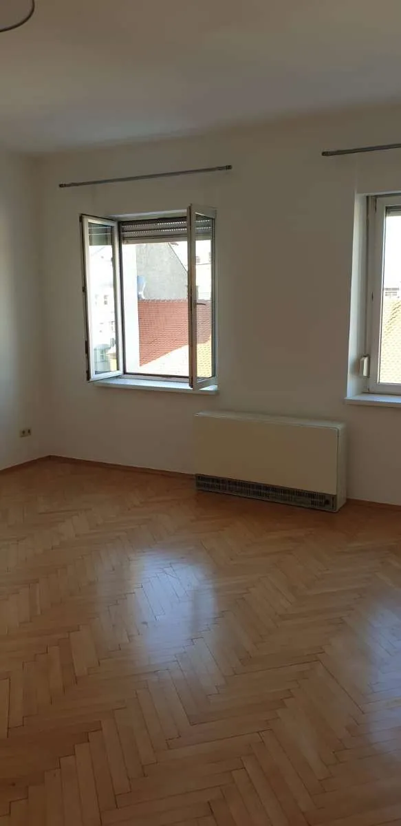 Helle, wunderschöne und renovierte Wohnung im letzten Stock - Ansicht 2