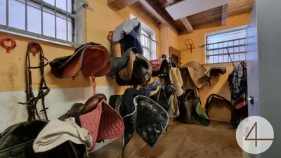 Immobilie kaufen in Waidhofen an der Thaya – 16 646 m², € 1.290.000 – Bild 31 von 32