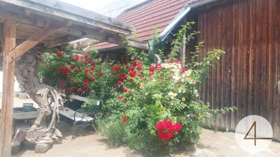 Immobilie kaufen in Waidhofen an der Thaya – 16 646 m², € 1.290.000 – Bild 5 von 32