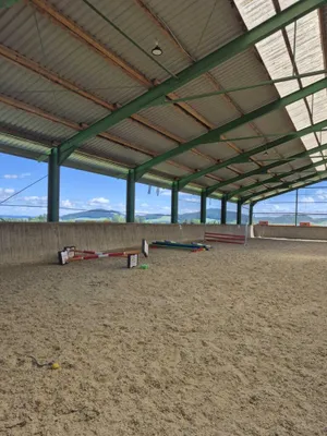 Immobilie mieten in Salzburg-Umgebung – 950 m², € 3.350 – Bild 4 von 21