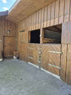 Immobilie mieten in Salzburg-Umgebung – 950 m², € 3.350 – Bild 8 von 21