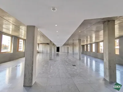 Gewerbeimmobilie mieten in Wien – 2 794 m², € 50.602 – Bild 13 von 35