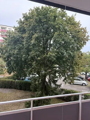 4-Zimmer-Wohnung kaufen in Sankt Pölten – 77,6 m², € 230.000 – Bild 12 von 17