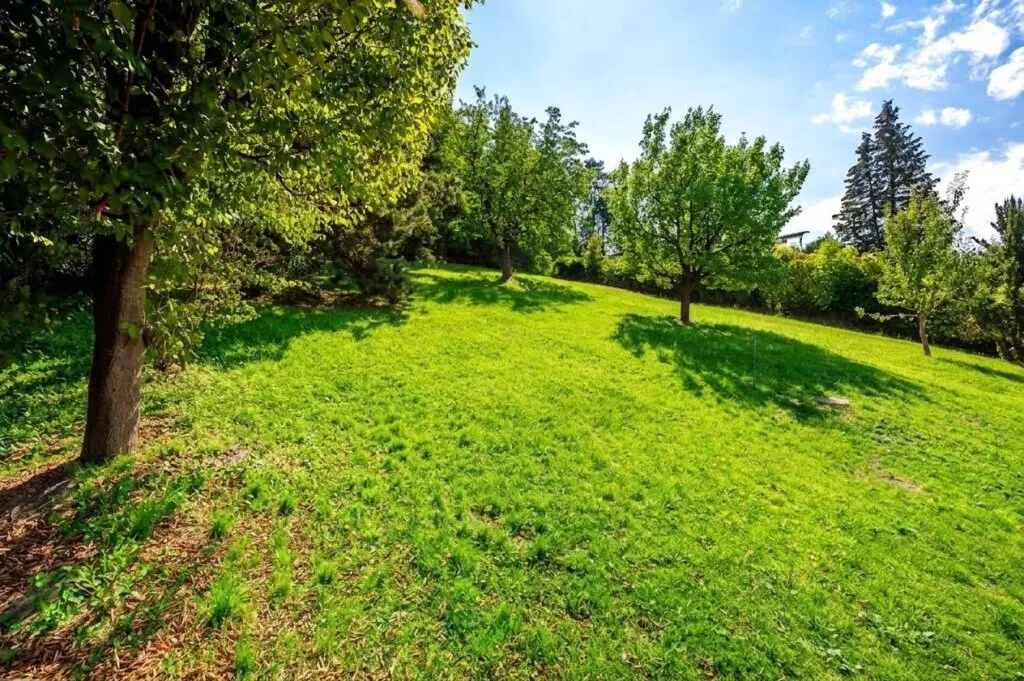 Baugrund mit Fernblick - Flexible Grundstücksgröße - Ansicht 2