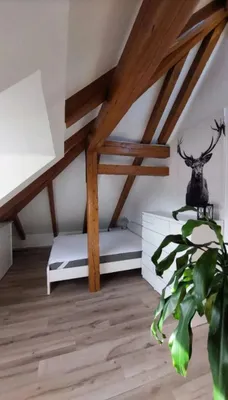 1-Zimmer-Immobilie mieten in Salzburg Stadt – 33 m², € 800 – Bild 4 von 9