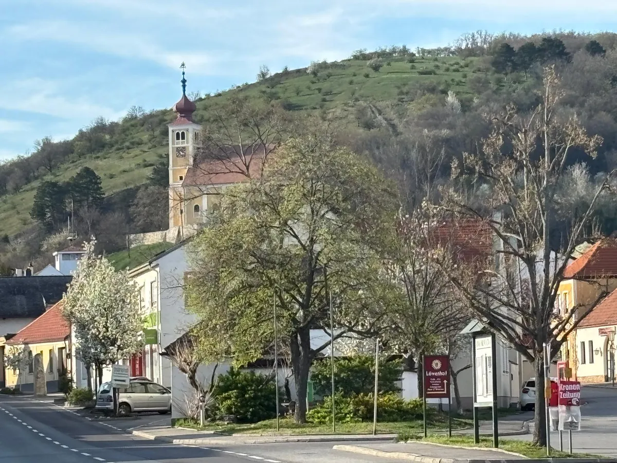Bauplatz in Donnerskirchen - Ansicht 2
