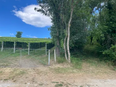 Grundstück kaufen in Weiz – 9 898 m² – Bild 3 von 6