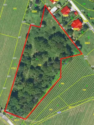 Grundstück kaufen in Weiz – 9 898 m²
