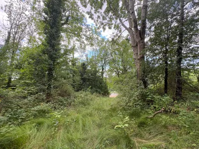 Grundstück kaufen in Weiz – 9 898 m² – Bild 6 von 6