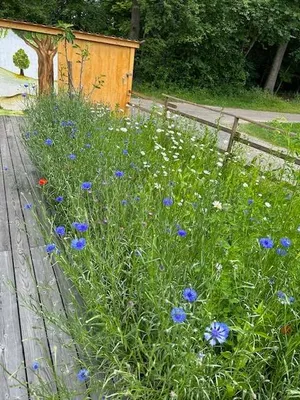 2-Zimmer-Wohnung kaufen in Südoststeiermark – 50 m², € 70.000 – Bild 22 von 23