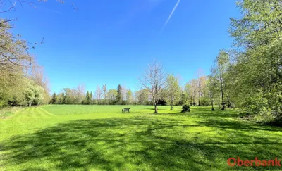 Grundstück kaufen in Kirchdorf an der Krems – 295 m², € 959.000 – Bild 31 von 43
