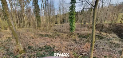 Immobilie kaufen in Linz Land – 3 317 m², € 329.000 – Bild 7 von 8