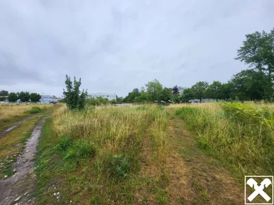 Immobilie kaufen in Wels – 10 545 m², € 2.794.425 – Bild 3 von 4