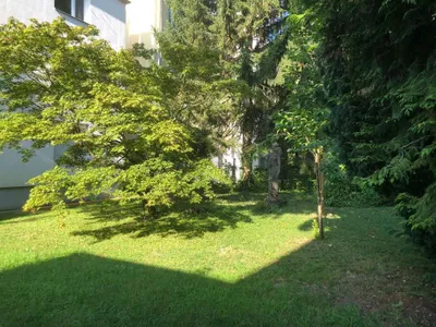 Familienglück in Hietzing – Bild 2