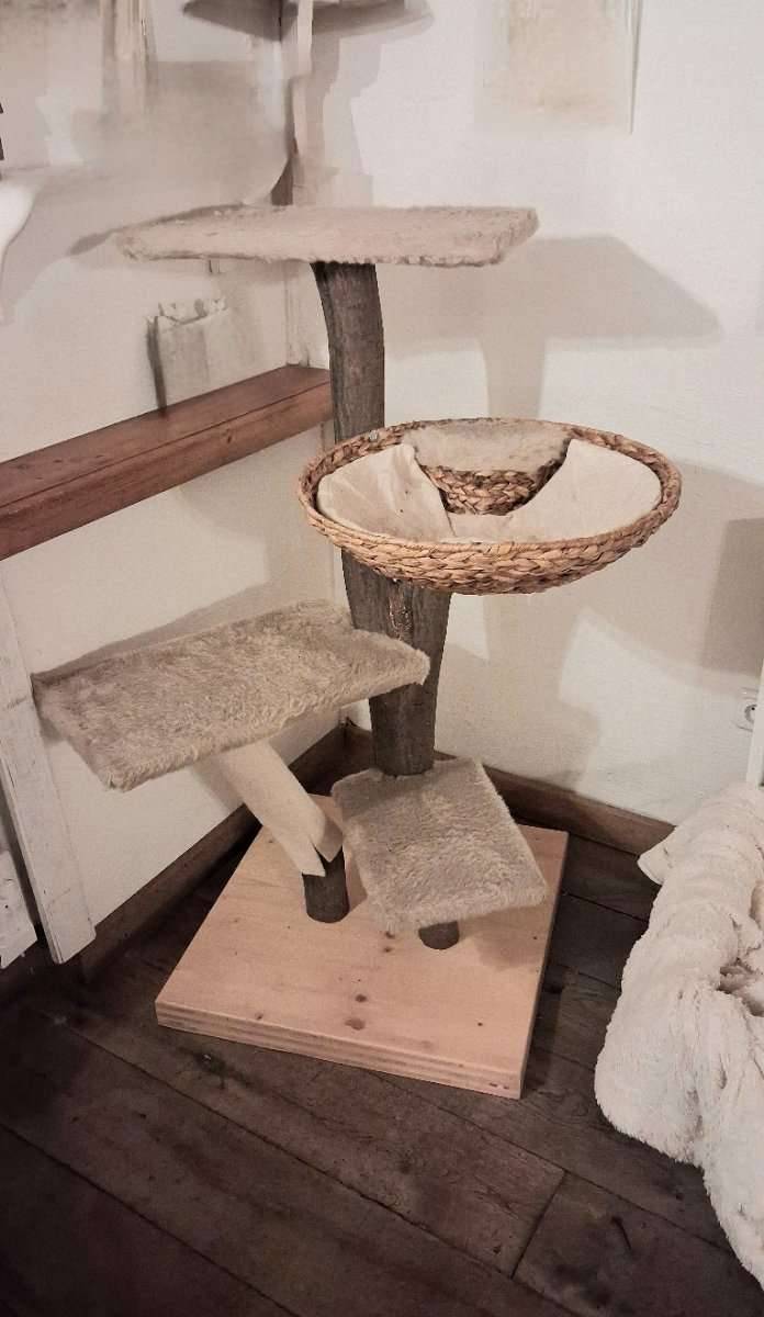 Kratzbaum Natur aus massivem Holzstamm,  55,- (2534 Alland) - willhaben