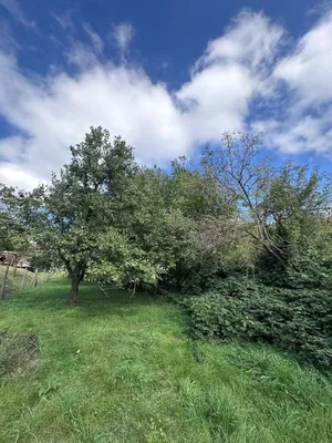 Grundstück kaufen in Korneuburg – 2 500 m², € 810.000 – Bild 3 von 9