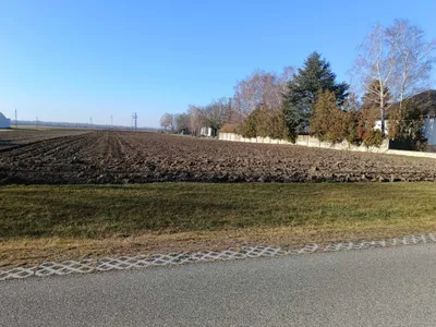 Grundstück kaufen in Neusiedl am See – 1 566 m², € 197.280 – Bild 3 von 3