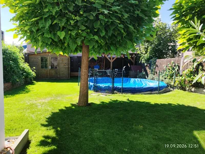 Haus kaufen in Gänserndorf – 180 m², € 570.000 – Bild 3 von 23