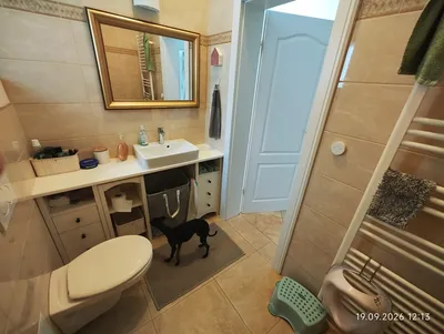 Haus kaufen in Gänserndorf – 180 m², € 570.000 – Bild 12 von 23