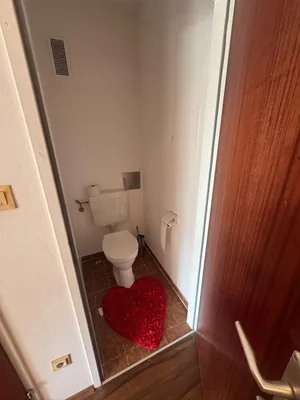 1-Zimmer-Wohnung mieten in Krems Land – 40 m², € 700 – Bild 6 von 7