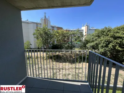 Gemütliche und moderne 2-Zimmer-Wohnung – Bild 2