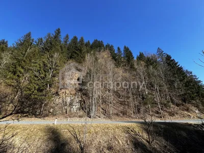 Immobilie kaufen in Sankt Veit an der Glan – 5 672 m², € 9.000 – Bild 2 von 4