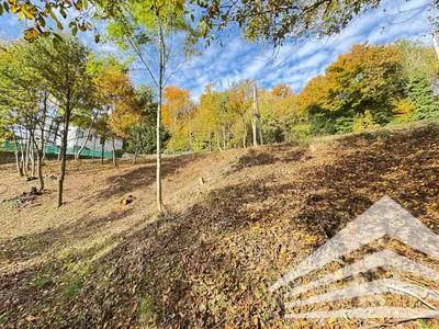 Grundstück kaufen in Urfahr-Umgebung – 983 m², € 620.000 – Bild 3 von 6