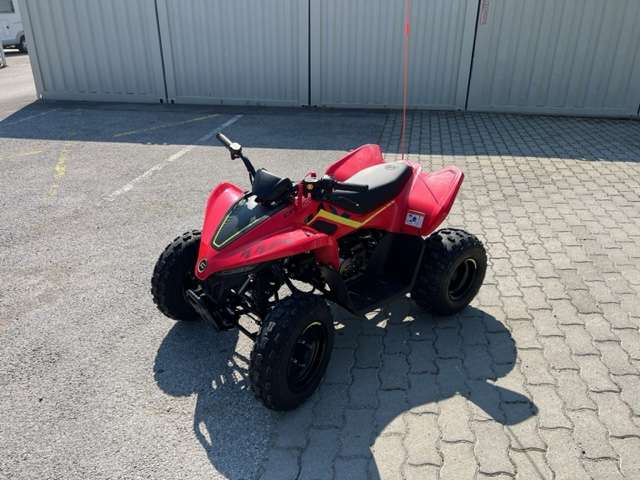 CF-Moto CForce 110 Kids ATV Quad