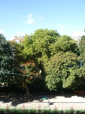 2-Zimmer-Wohnung mieten in Wien – 59 m², € 998 – Bild 5 von 22