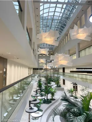 Gewerbeimmobilie mieten in Wien – 1 724 m², € 25 – Bild 9 von 14