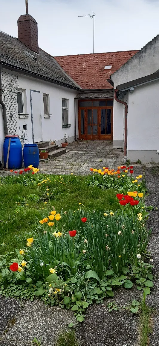 Privatverkauf - 2 Familienhaus in Bruck an der Leitha in zentraler Lage - Ansicht 3