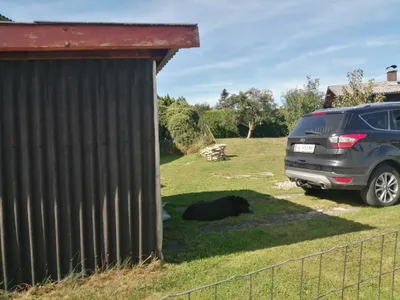 4-Zimmer-Immobilie kaufen in Vöcklabruck – 80 m², € 350.000 – Bild 5 von 6