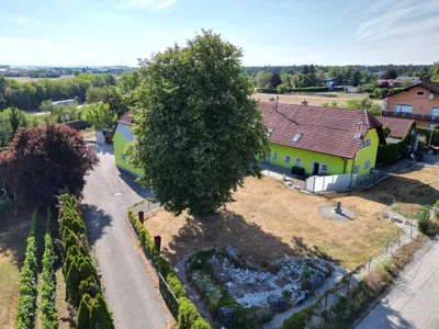 Immobilie kaufen in Wels-Land – 210 m², € 830.000 – Bild 7 von 10