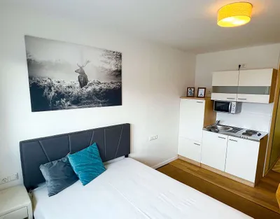 1-Zimmer-Wohnung mieten in Freistadt – 19 m², € 385 – Bild 24 von 24