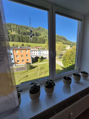 4-Zimmer-Wohnung kaufen in Bruck-Mürzzuschlag – 95 m², € 80.000 – Bild 16 von 28